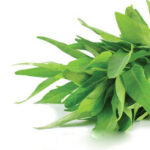 কলমি শাক ১ আটি